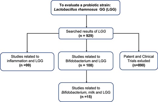 Flowchart of using ProBioQuest to evaluate a probiotic strain-Lactobacillus rhamnosus GG. Searching Lactobacillus rhamnosus GG in ProbioQuest returned 929 results. There were 890 articles from Pudmed.gov. To narrow down the number of results to those of more specific interest, a second keyword (‘Bifidobacterium’ or ‘inflammation’) was added. This reduced the number of results to 108 and 99, respectively. The addition of more keywords would further reduce the number of results and narrow the field of enquiry.