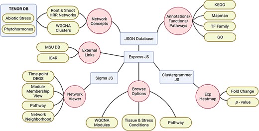 Schematic representation of NetREx architecture, modules and visualizations.