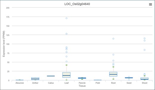 Expression profile of OsPHR3 from IC4R across different tissues and developmental stages.