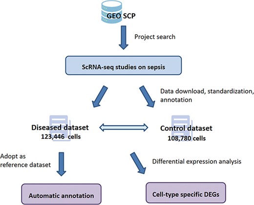 Overview of the workflow of SC2sepsis.