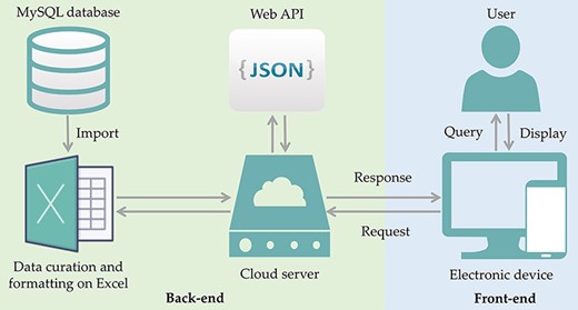 ProbResist database and interface. Information extracted from articles retrieved from PubMed database was manually curated and formatted offline on Excel before importing into MySQL database in the following format: antibiotic, species, gene location, country, PMID and DOI. The database website structure was designed and developed using the front-end (blue box) and back-end (green box) separation where the website front-end will query the database when user invoked either the search function by species, antibiotic or country name, in the search bar. At the back-end, data are provided by restful web API in JSON format. For website development, an online web template provided by HTML design (https://html.design) was adopted and modulated. Front-end only requires the setting up of the user query input as a parameter to specify API URL and then displayed in appropriate table HTML format. Users have the option to export their retrieved results into Excel format.