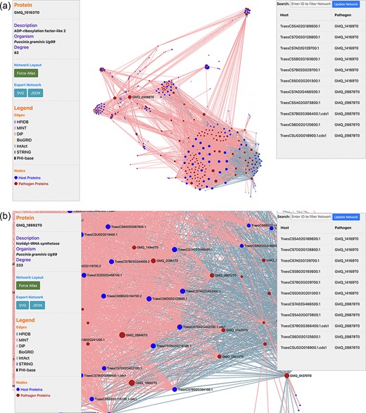 (a) Network visualization of the predicted interactome from the ‘Interactomics’ tool; (b) A zoomed-in version of the network to view proteins of interest. Users can click (or hover) on any node to view the description of a particular host/pathogen protein in the predicted network.