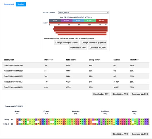 A detailed view of the BLAST result alignments.