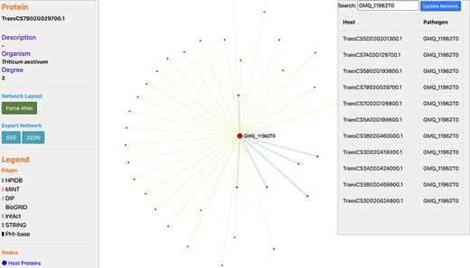 Network visualization of an Ug99 effector protein, GMQ_11962T0, interacting with 34 T. aestivum proteins as predicted by TRustDB (Supplementary Material, Sheet 4). GMQ_11962T0 has been shown to be involved in hydrolase activity (GO:0016817) and spliceosome (ko03040), which plays a role in the colonization and pathogenicity of the fungal pathogens.