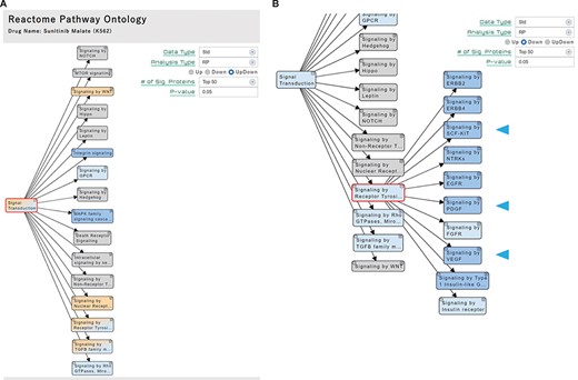 ‘Pathway’ section. (A) Significant pathways with Up, Down or both (UpDown) signatures are displayed in the tree form, according to the pathway ontology classification of Reactome. The number of signature proteins for pathway analysis can be selected (top 50/100/150/200 or P-value < 0.05). (B) The multi-targeted RTK inhibitor sunitinib malate downregulates the ‘Signaling by Receptor Tyrosine Kinases’ pathways, including the drug target-related pathways (arrowhead).