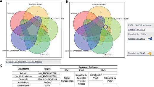 ‘Compare Pathway’ section. Five inhibitory drugs of the protein tyrosine kinase pathway were selected. (A) In the higher pathway hierarchy (pathway stratum = 2), five drugs commonly downregulated the ‘Signaling by Receptor Tyrosine Kinases’. (B) At lower pathway hierarchy, five drugs showed various specificities for pathway activities. (C) The drug information and common pathway results are summarized.