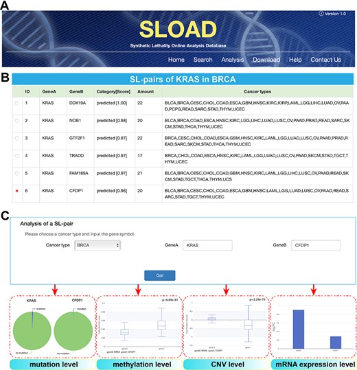 Overview of SLOAD database.
