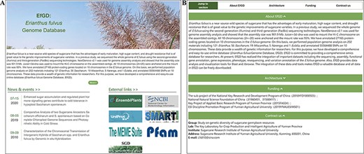 ‘Home’ and ‘About’ modules. (A) ‘Home’ module, basic introduction to EfGD and external quick links. (B) ‘About’ module, detailed introduction to EfGD.
