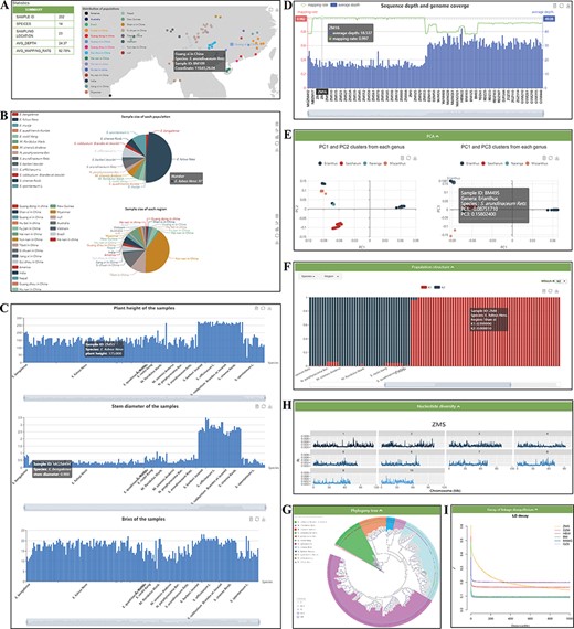 ‘Re-sequence’ module. The ‘Re-sequence’ module has subpages: ‘Statistics’ (A–D) and ‘Analysis’ pages (E–I). (A) Geographic distribution of 202 individuals. (B) Sample size of each species and region. (C) Statistics of plant height, stem diameter and brix for each sample. (D) Resequencing quality statistics. (E) PCA clusters from 202 individuals. (F) Bar plot of admixture analysis for all samples with K from 2 to 10. (G) Phylogenetic tree. (H) Nucleotide diversity statistics. (I) Decay of LD.