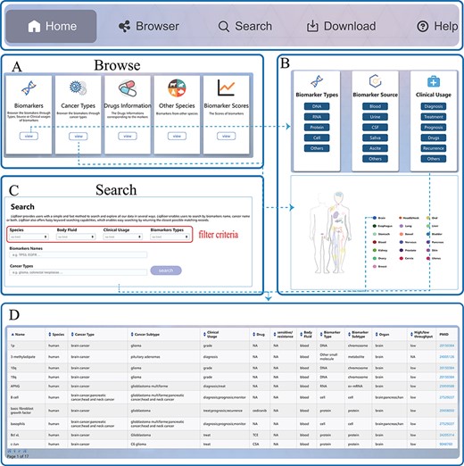 Usage instructions of LiqBioer. (A) Browse page. (B) Subpages of the browse page. (C) Search page. (D) Table of search and browse results.