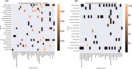 A heatmap of EC 1.14.18.1 ${{\rm{K}}_{\rm{I}}}$ values of regulator molecules (x-axis) seen in particular organisms (y-axis). As the distribution of ${{\rm{K}}_{\rm{I}}}$ is highly skewed, data is visualized in two heatmaps (the first heatmap presents a heatmap of values less than 0.5 and the second figure represents a heatmap of parameters greater than 0.5). Lower values of ${{\rm{K}}_{\rm{I}}}$ parameters are associated with higher inhibition effects.