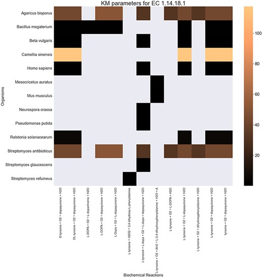 A heatmap of ${{\rm{K}}_{\rm{M}}}$ values for all the reactions catalysed by 1.14.18.1 (x-axis) seen in particular organisms (y-axis).