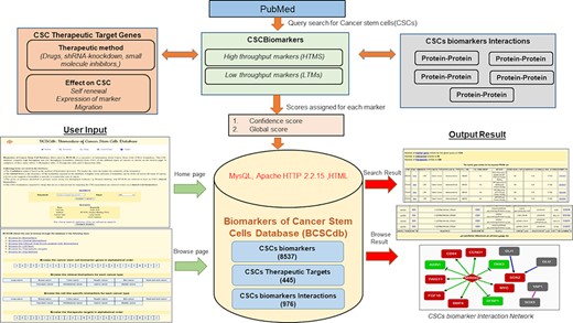 Schematic representation of the workflow of BCSCdb online database and summary of data statistics.