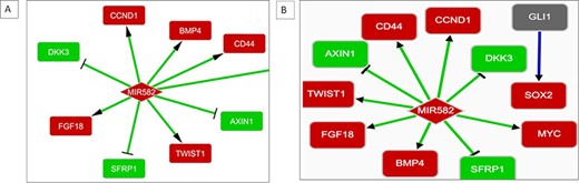 (A) Interaction network showing MIR582 regulation in the A549 NSCLC cell line. (B) Interaction network showing MIR582 regulation in the H1975 NSCLC cell line.