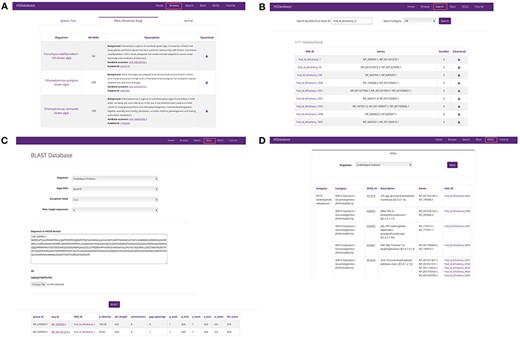 Screenshots of the HSDatabase interface. There are four main functions in the menu page: (A) Browse the database via species entries; (B) search the database via the HSDatabase unique ID (e.g. hsd_id_Athaliana_1) or gene ID (e.g. NP_200993.1); (C) use BLAST to search the database via amino acid sequence in FASTA format; and (D) categorize the gene copies and HSDs under the KEGG pathway functional categories.