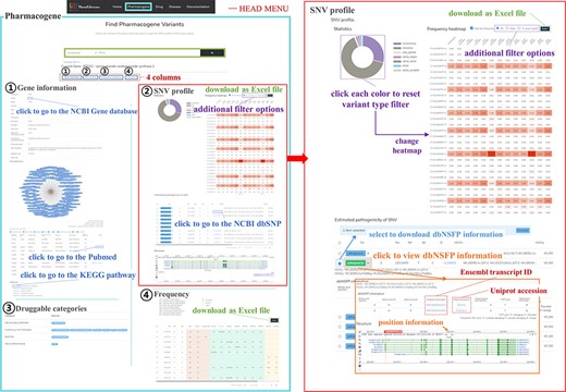 Example of the PharmaKoVariome usage.