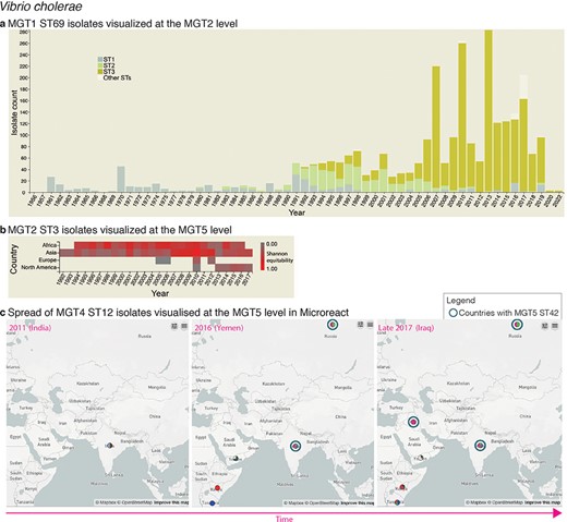 Interactive charts and streamlined integration with Microreact enabled in MGTdb. (a) An interactive chart in MGTdb that enables summarizing all or filtered isolates at any MGT level using either the locational or the temporal metadata. The chart shows the current cholera pandemic isolates (i.e. MGT1 ST69 or seven-gene MLST ST69) at the MGT2 level. This data can be explored on MGTdb at https://mgtdb.unsw.edu.au/vibrio/isolate-list?mgt1=69&searchType=and (data view level MGT2 ST, with ‘Only highlight top’ set to ‘3ʹ). (b) An interactive chart in MGTdb that enables summarizing all initially loaded or filtered isolates using both locational and temporal metadata. The chart shows the current cholera wave isolates (i.e. MGT2 ST3) at the MGT5 level. These data can be explored on MGTdb at https://mgtdb.unsw.edu.au/vibrio/isolate-list?ap2_0_st=3&searchType=and (data view level MGT5 ST). (c) Microreact visualization of MGT4 ST12 isolates exported from MGTdb. A data file—wherein the latitude and longitude are appended, along with unique colours for STs—can be exported from MGTdb for use with Microreact. Microreact enables visualization of isolates at any chosen MGT level, both geographically and temporally. Shown here is the temporal step-through (as enabled on Microreact) of MGT4 ST12 isolates, visualized at the MGT5 level. The data shown in this figure can be explored in Microreact using the link https://microreact.org/project/bjdgCuWdVowtJHwq2npYxi-mgt5-st12-vibrio-cholerae and selecting ‘Colour Column’ as MGT5. Alternatively, the original data can be viewed in MGTdb using the link https://mgtdb.unsw.edu.au/vibrio/isolate-list?ap4_0_st=12&searchType=and.