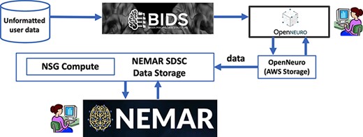 Users first format their data to BIDS and then upload their data to OpenNeuro web interface, which stores it on its AWS back end. The NEMAR SDSC Data Storage back end and then automatically sync/download the data from OpenNeuro. Data statistics and visualizations are precomputed for display by NSG Compute. The NEMAR web interface (bottom box) serves the data to NEMAR users. The NEMAR search engine allows users to search through and select data for analysis for their projects. Data identifiers found on NEMAR (for example, OpenNeuro dataset index ds123456) can then be used in analysis scripts the user sends through the NSG to retrieve and process the selected data without requiring data download and subsequent re-upload.