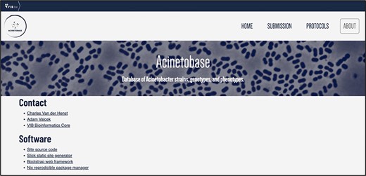 ‘About’ page of Acinetobase.