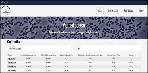 Example of entries filtering based on the KL type 40.