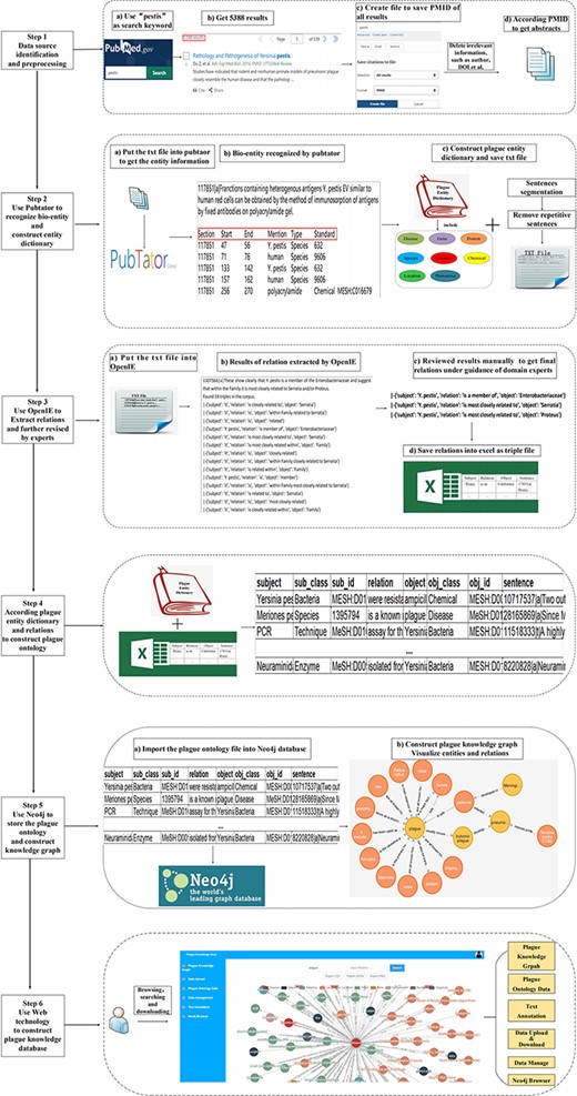 The workflow for constructing plague knowledge database.