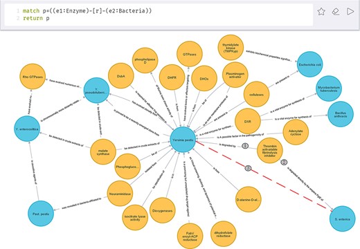 Relations between enzyme and bacteria.