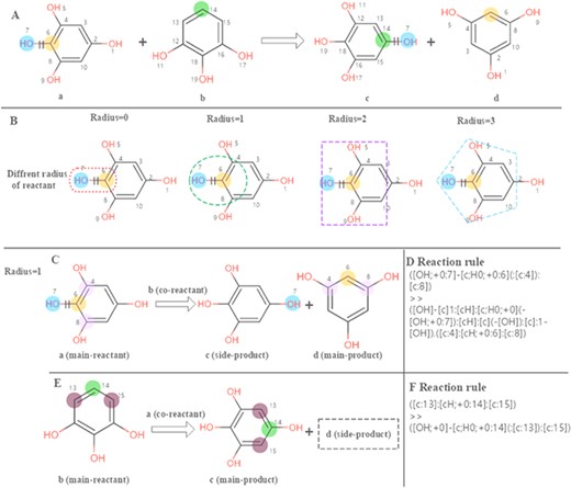 Calculation of the reaction rules for EC 1.97.1.2. (A) The reaction transformation is labelled. (B) Different radius can be used to identify adjacent neighbours in the reaction. (C, E) The reaction rules are calculated for two reactants. (D, F) reaction rules encoded with SMART.