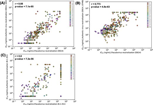 Results for pseudovirus and authentic virus neutralization assays strongly correlate. Correlations were estimated by Spearman’s correlation coefficients and relate neutralization of pseudovirus bearing D614 and (A) authentic D614 virus (measured at University of North Carolina, Chapel Hill (UNC)), (B) D614 (measured at University of Texas Medical Branch at Galveston (UTMB)) and (C) authentic Beta (B.1.351) virus (measured at UNC). Data points are colored according to the epitope community to which the antibody belongs. ND: Epitope community not determined.