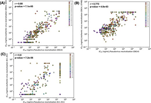 Results for pseudovirus and authentic virus neutralization assays strongly correlate. Correlations were estimated by Spearman’s correlation coefficients and relate neutralization of pseudovirus bearing D614 and (A) authentic D614 virus (measured at University of North Carolina, Chapel Hill (UNC)), (B) D614 (measured at University of Texas Medical Branch at Galveston (UTMB)) and (C) authentic Beta (B.1.351) virus (measured at UNC). Data points are colored according to the epitope community to which the antibody belongs. ND: Epitope community not determined.
