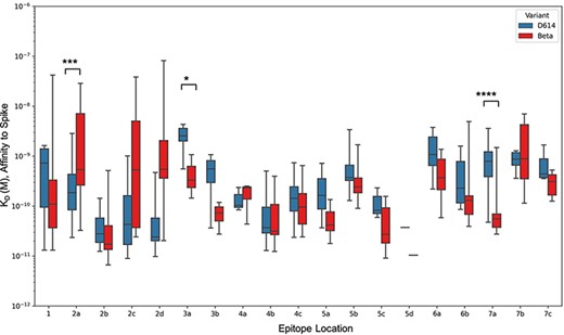 Epitope-wise comparison of antibody binding affinity for Spike D614 (blue bars) and Beta (red bars). Statistical significances were calculated using Welch’s t-test (****P < 0.0001,*** P < 0.001, **P < 0.01, *P < 0.05). Antibodies are grouped according to the epitope community, and the bars represent the mean binding affinity (note that Community 5d includes only two antibodies).