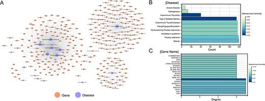 Visualization of all gene-disease associations in ENCD. (A) A network diagram constructed for all gene-diseases in ENCD, showing all disease and gene names in ENCD. (B) The betweenness centrality of endocrine diseases in the network. (C) The betweenness centrality of lncRNAs in the network.