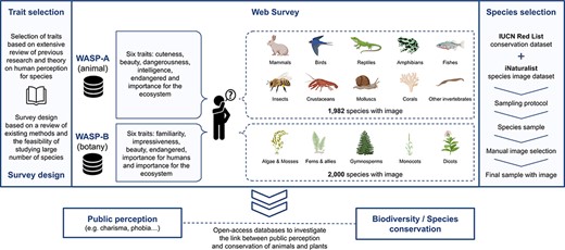 Schematic overview of the WASP surveys.