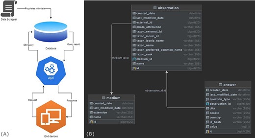 End-to-end data flow of the WASP web surveys.