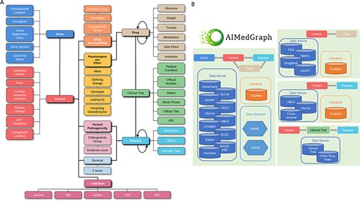 The AIMedGraph knowledge graph. (A) Simplified AIMedGraph architectures; (B) AIMedGraph data sources.