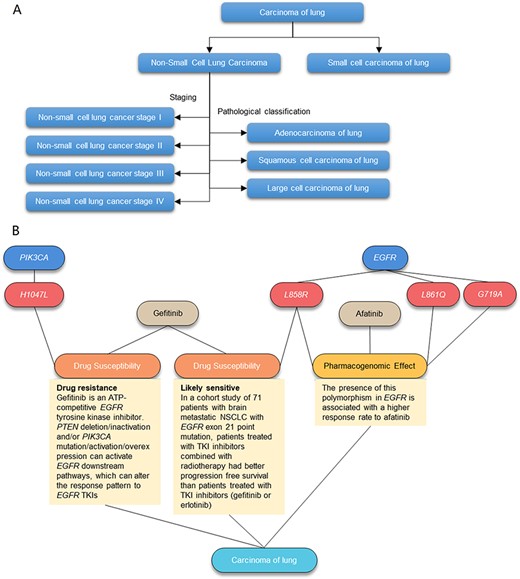 Illustration of the AIMedGraph relation graph. (A) Example of the disease classification tree. (B) Example of the relation graph between genes, variants, drugs and diseases.
