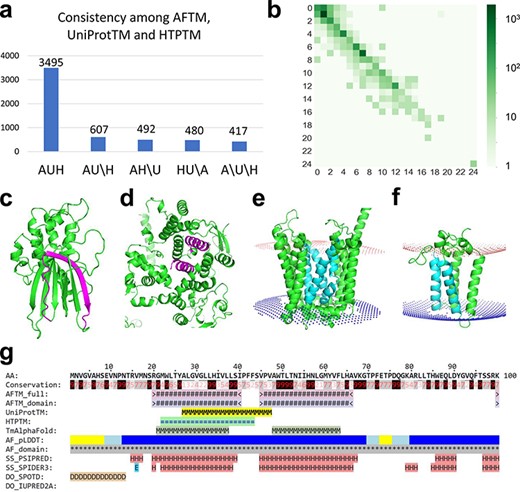 (a) Statistics of comparisons of TMSs annotated by AFTM (A), UniProt (U) and HTP (H). AUH: TMSs are consistent among the three methods. AU\H: TMSs are consistent between AFTM and UniProt, but inconsistent compared to HTP. The same annotation is applied for AH\U and HU\A. A\U\H: TMSs are inconsistent among all three methods. (b) Comparison between the number of TMSs reported by AFTM and UniProt. Each square represents the number of proteins with a certain number of TMSs predicted by AFTM (X-axis) and a certain number of TMSs reported by UniProt (Y-axis). The numbers are colored according to a 10-based logarithm of the counts of proteins. (c, d) AlphaFold models of TMEM183A (accession number: Q8IXX5) (c) and UBR3 (accession number: Q6ZT12 (d), with potential false TMSs by UniProt and HTP colored in magenta. (e, f) AlphaFold models of ANKH (accession number: Q9HCJ1) (e) and ORMDL1 (accession number: Q9P0S3) (f), with missing TMSs by UniProt and HTP colored in cyan. (g) A sequence block of ORMDL1 from the AFTM website.