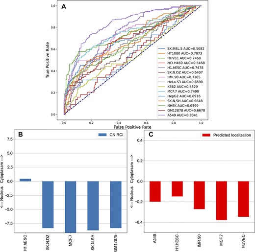 Unsupervised learning to predict the localization of lncRNAs by cell line. (A) Co-expression gene–gene correlations were used to predict localization values for each human lncRNA for the 15 cell lines in lncAtlas. For each human lncRNA, the 35 371 genes present across the cell types in lncAtlas were ranked by PCCs and ranks were multiplied by the existing RCIs from lncAtlas and summed. True positives and false positives were calculated for CN RCIs >1 and <−1 per cell line. (B) Subcellular localization RCIs for XIST, which are available for the displayed cell lines from lncAtlas. (C) Predicted subcellular localization for TSIX, an antisense gene to XIST. Subcellular localization information for TSIX is not available in lncAtlas for the five cell lines. These cell lines have the highest AUROCs as reported in (A).
