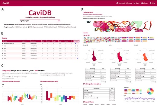 Overview of the CaviDB web application. (A) CaviDB search allows users to search for a specific PDB or UniProt identifier. A selector is also provided to focus the search on AlphaFold models. (B, C) Cavity dynamics can be explored using the comparison tool provided by CaviDB, where predicted cavities and their features can be selected and displayed for different protein conformations simultaneously. (D) Schematic example of chain feature display. The information of each entry is divided into two main sections, one containing the general cavity descriptors (top) and the other containing the global protein descriptors (bottom).