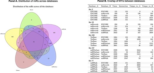 Panel A is a Venn diagram to show the total number of overlapping MTIs across the top five databases. Panel B is a table to show the number of total MTIs in each combination of two databases (Union), the number of MTIs overlapping between each combination of two databases (Intersection) and how many were unique to each database in combinations of two.