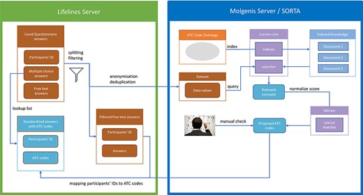 Process overview. Pre-processing and anonymization occurs on the Lifelines server. Actual mapping with SORTA takes place on the Molgenis server. Finally, the results are mapped back using the pre-processed answers. Adapted from Pang et al., 2015 (9).