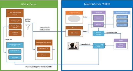 Process overview. Pre-processing and anonymization occurs on the Lifelines server. Actual mapping with SORTA takes place on the Molgenis server. Finally, the results are mapped back using the pre-processed answers. Adapted from Pang et al., 2015 (9).