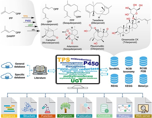 The brief biogenesis for terpenoids and the database resources for constructing the terpenome research platform TeroKit. The protocol of data collection is provided in Scheme S1.