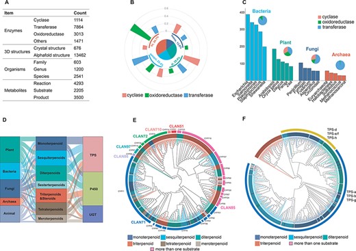 Database content. (A) The status of the recorded data for the construction of the TeroENZ database. (B) The pie chart shows the distribution of the enzymes that catalyze the four substrates and the histograms measured on the arcs represent the functional distribution of the enzymes (i.e. the values are normalized namely sum to 1 for each kind of enzyme). (C) Enzymes of different species sources were counted and the top five species were selected for display in bacteria, plants, fungi and archaea, respectively (histograms). All enzymes from these species were also classified according to function (pie charts). (D) The Sankey of species (left), substrate (middle) and enzyme (right). (E) Plant-derived P450 classified by family (evolutionary map). Multiple sequence alignment using muscle (34), evolutionary analysis with IQ-TREE (35), visualization with iTOL (36) and then a manual annotation. (F) Plant-derived TPS classified by function (evolutionary map), Outer ring: Class I, Class II. Inner ring: gray for angiosperms, black for gymnosperms and others.