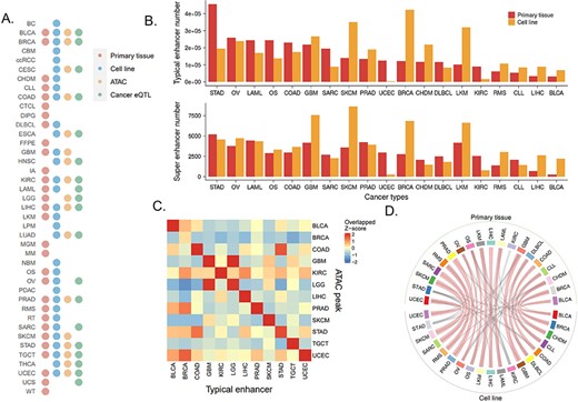 Overview of cancer typical enhancers and super-enhancers. (A) Distribution of samples of primary tissue H3K27ac, cell line H3K27ac, cancer eQTL and primary tissue ATAC-Seq in cancer types. (B) The upper panel exhibits the distribution of reproducible typical enhancer number in cancer types, and the lower panel displays the distribution of merged super-enhancer number in cancer types. (C) The heatmap of the overlap between the primary tissue typical enhancer and the primary tissue ATAC-Seq ACRs. (D) Circos plot of the typical enhancer overlap between primary tissue and cell lines. Each tissue is linked to the top three overlapped cell lines, and the thickened linkage line indicates the same cancer type shared by tissue and cell line.