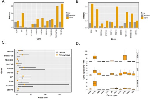 Analysis of 10 gene-related super-enhancers in colorectal cancer. (A) Percentage of 10 gene-related super-enhancers detected in primary tissue samples. ‘All cancer’ indicates cancer types excluding COAD. (B) Percentage of 10 gene-related super-enhancers detected in cell line samples. ‘All cancer’ indicates cancer types excluding COAD. (C) Ten genes’ odds ratio of super-enhancers detected in colorectal cancer to those detected in all other cancers. (D) Three genes’ expression (fragments per kilobase of exon per million mapped fragments, FPKM) in different cancer types according to TCGA RNA-Seq.