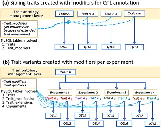 A conceptual graph showing data structure differences between ‘sibling traits’ (modified as part of ontology extensions) (a) and ‘trait variants’ (modified with extended info) created at the experiment level (b), their use in QTL data annotations and their effects on ontology trait data management.