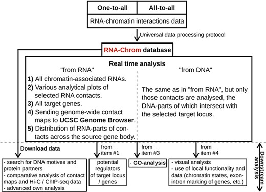 RNA-Chrom functionality and downstream analysis.
