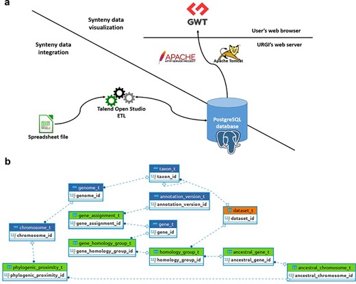 SyntenyViewer data processing and database description. (a) Illustration of theSyntenyViewer architecture including the data integration step into a PostgreSQL instance, and the data visualization based on GWT powered by Apache Tomcat and Apache HTTP server. (b) Illustration of the SyntenyViewer database model with for each box a table named with its primary key term (referenced below). Tables colored in green store data in an append only fashion when a new synteny dataset is submitted, blue tables contain new data as well as data shared between different datasets, orange table stores new data as well as updated data from a previously inserted dataset (i.e. ‘dataset_t’ that handles several versions of a dataset: a new tuple is inserted for Version 2 of Dataset A, while the tuple with Version 1 is marked obsolete). Some technical relationships between tables have been hidden for clarity. The database is structured below.