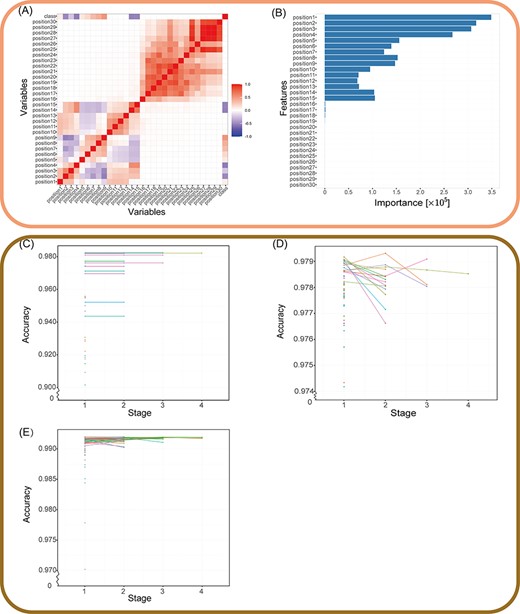 Validation of the MantaID model performance. (A and B) The result of features selection. (A) Correlation heat map. Positive values mean positive correlation; negative values mean negative correlation, as evaluated by Pearson's correlation test. (B) Features importance computed by RF. The horizontal coordinate is the Gini impurity, an indicator for evaluating importance, and the vertical coordinate is the feature. Stage plot for Hyperband tuning of (C) CART, (D) RF and (E) XGBoost. Each line or point represents a set of related parameters, and Hyperband algorithm discards configurations with a percentage of ${\rm{\;}}\frac{1}{\eta }$ to cut training time. Notably, the cart model’s polygon line appears to be stagnating as a result of the minimal accuracy change between stages when compared to the span.