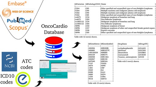An overview of the information contained in the database.